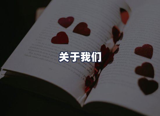 关于我们